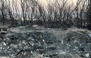İzmir'de yanan yerler dron ile görüntülendi