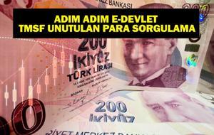 TMSF UNUTULAN PARA SORGULAMA: TMSF Unutulan Para Sorgulama Nasıl Yapılır? Unutulan Para Geri Alınır Mı? E-Devlet Üzerinden Adım Adım Rehber