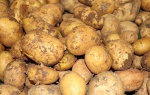 Filizlenmiş ve Yeşillenmiş Patatesler: Sağlık İçin Tehlike Oluşuyor!