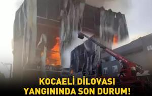 KOCAELİ DİLOVASI YANGIN SON DURUM 8 KASIM 2025: Kocaeli depo yangınında kaç kişi hayatını kaybetti, yangın neden çıktı?