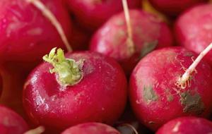 En Güçlü Doğal Antibiyotik! Karaciğeri Temizliyor, Toksinleri Vücuttan Atıyor... Çiğ Tüketildiğinde Metabolizmayı Adeta Uçuruyor!