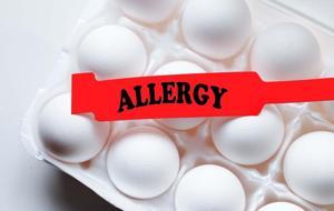 Şiddetli Yumurta Alerjisi Olanlara 'Grip Aşısı' Uyarısı! Grip Aşısını Kimler Yaptırabilir? Grip Aşısı İçin En Uygun Zaman Ne?