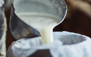 Metabolizmanın Sessiz Kurtarıcısı! Light Sütler, Diyabetik Yoğurtlar, Yarım Yağlı Peynirler... Meğer Yanlış Biliyormuşuz! Uzmanlar Gerçeği Açıkladı: Tam Yağlı Sütler...