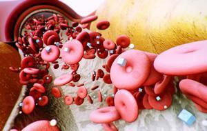 Yediğiniz Anda Kan Şekerini Fırlatıyor! Sürekli Açlık Hissi Yaşayanlar Dikkat! İşte Veremediğiniz Kiloların En Önemli Nedeni