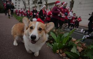 Fransa’da Noel Baba koşusu