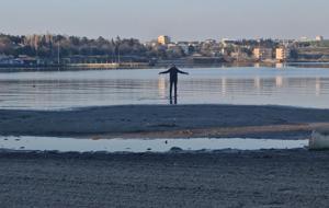 Tekirdağ'da tedirgin eden görüntü! En son 3 yıl önce olmuştu