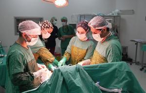  Karnından çıkan inanılmaz gerçek