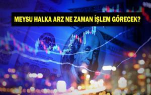 MEYSU HALKA ARZ NE ZAMAN İŞLEM GÖRECEK? Meysu halka arz kaç lot verdi? Halka arz sonuçları belli oldu!