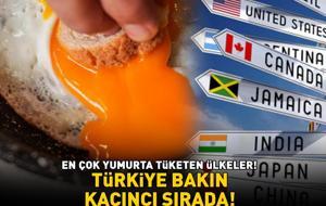 EN ÇOK YUMURTA TÜKETEN ÜLKELER! Faydaları saymakla bitmiyor: A, B12, B2 vitaminleri ile bağışıklığı güçlendiriyor! Türkiye bakın kaçıncı sırada!