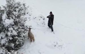 Sürüyü otlatan çobanı tedirgin eden anlar! Görür görmez tüfeğine sarıldı