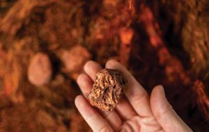 Bakır fiyatları yükselişte! Doların zayıflaması metal piyasalarını hareketlendirdi