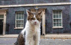 10 Numara’nın Gerçek Sahibi: 6 Başbakan Eskitti, Ona Dokunmak Bir ‘Siyasi İntihar’… Kedi Larry, 15 Yılını Kutluyor!