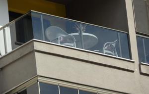 Elleri kaydı demişti… Tuğba Yavaş'ın ölümünde yeni gelişme: Profesör, eşini öldürmekle suçlanıyor