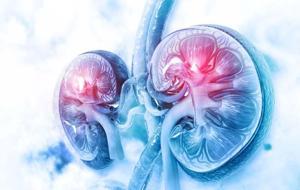 Diyabet ve Hipertansiyonun Gizli Hedefi: Böbreklerimizi Sessizce Tüketen İki Büyük Hastalık