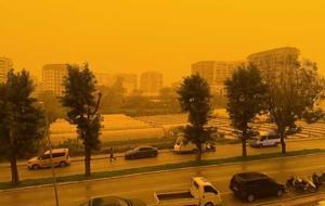 Alanya'da göz gözü görmedi