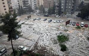 Meteoroloji 'sarı' kodla uyarmıştı! Adana'da cadde ve sokaklar beyaza büründü