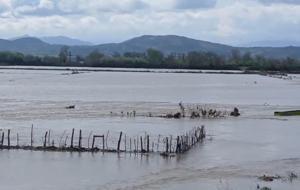 Meriç Nehri taştı, sular yollara ulaştı