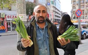 Doğal Antibiyotik! Doğada Kendiliğinden Yetişiyor