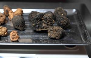 Türkiye’de keşfetti, Avrupa’ya satıyor! Kilogramı 350 euro...