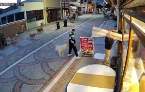 Sokak köpeğinin saldırısı kamerada