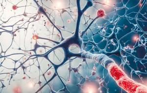 Stres, Uykusuzluk ve İşlenmiş Gıdalar: Hormonların Sessiz Çığlığı Sağlığımızı Nasıl Tehdit Ediyor?