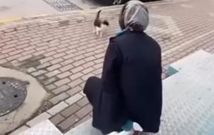 'Gel annem gel' diye çağırdı! Sokak kedisine yaptığı kan dondurdu