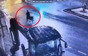 Eşekli hırsızın savunması mahkemeyi ikna edemedi