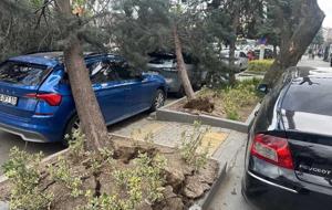 Ankara'da şiddetli rüzgar! Ağaçlar devrildi, araçlar zarar gördü