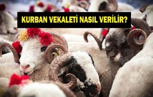 KURBAN VEKALETİ NASIL VERİLİR? Kurban Vekaleti Kimlere, Nasıl Verilir, Alınır? Vekalet Bedeli Ne Kadar? Diyanet Açıkladı...