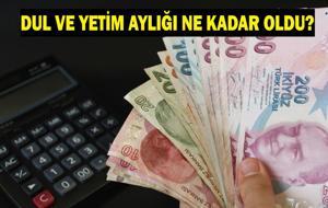 TEMMUZ 2026 DUL VE YETİM AYLIKLARI ZAMLI TUTAR: Dul ve Yetim Maaşı Ne Kadar Oldu? Temmuz 2026 Zamlı Aylıklar Belli Oldu mu?