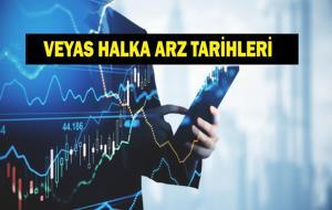 VEYAS Halka Arzında Talep Toplama Başladı! VEYAS Halka Arz Kaç Lot Verir, Katılım Endeksine Uygun Mu? Türker Vangölü Enerji Sahibi Kim?
