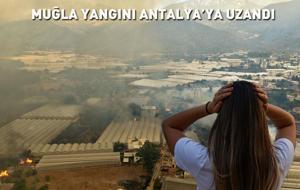 Orman yangınların son durum!