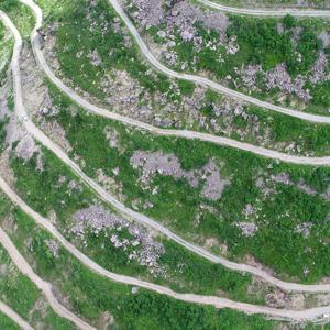 Bayburt- Trabzon sınırında dünyanın en tehlikeli yolu