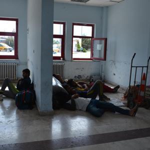 Pakistanlı 37 kaçak, İstanbul diye Sinopa bırakıldı