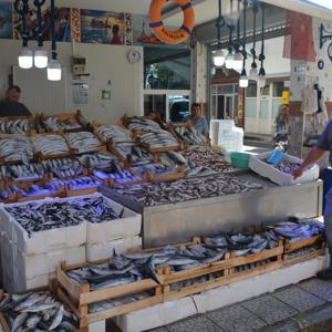 Karadenizde palamut bolluğu; fiyatı 5 liraya geriledi