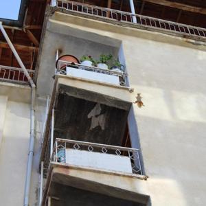 Yolunu şaşıran sincap 5 katlı apartmana tırmandı