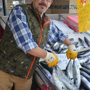 Karadeniz’de palamut bolluğu; tanesi 5 liraya geriledi