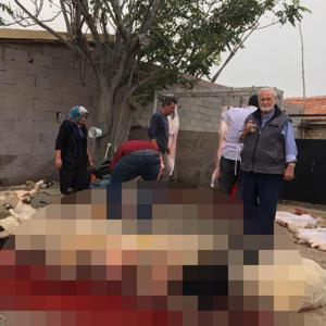 Cumhurbaşkanı için adağı 10 koyunu kesti