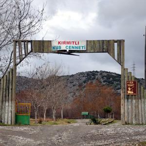 Kuş cennetinde avlanan 3 kişiye para cezası