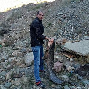 Çoruhta yakaladığı 1 metre 80 santimlik balıkla fotoğraf çektirdi