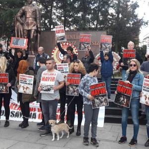 Hayvanlarsevelerden altıncı madde protestosu