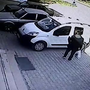 Hafif ticari aracın çarptığı yavru köpek öldü, anne köpek yaralı