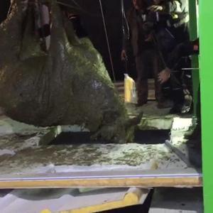 Foseptiğe düşen gebe inek kurtarıldı