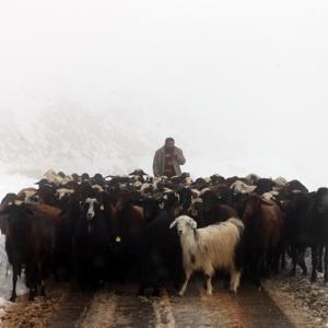 Yayla dönüşü kara yakalandılar