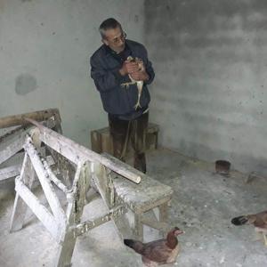 Tavuklarının yeniden çalınmaması için metal kapı yaptırdı