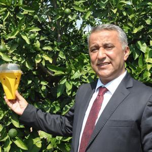 Üreticilere, Akdeniz meyve sineği ile mücadele uyarısı