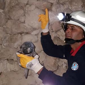 Yavru köpeği itfaiye kurtardı
