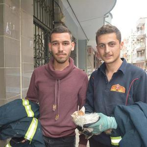 Havalandırma boşluğuna düşen yavru kediyi itfaiye kurtardı