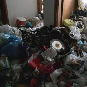 Ataşehirde 2 daireden kilolarca çöp çıktı