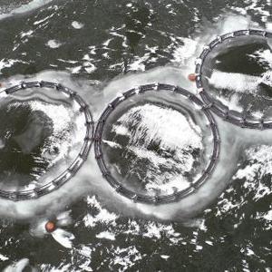 Barajdaki balık kafesleri buzla kaplandı